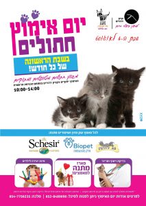 חתולים אוגוסט 2018