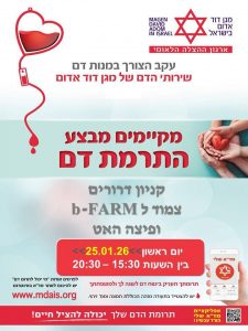 מדא