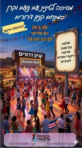 מסיבה